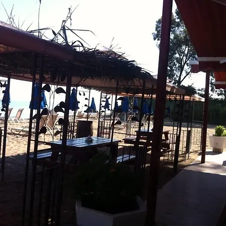 Camping Site Chrisochous 营地 Polis