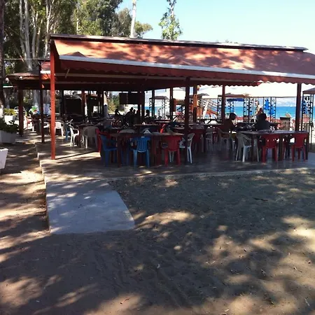Camping Site Chrisochous 营地 *